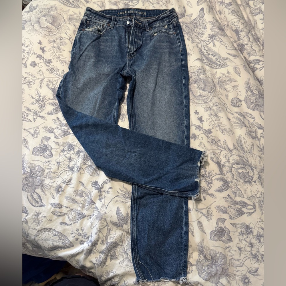 AE Strigid Mom Jean